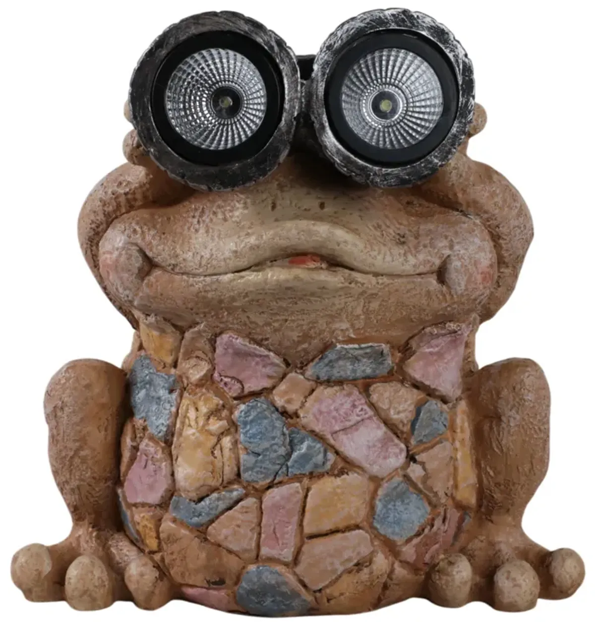 Frog w/Black Solar Goggles