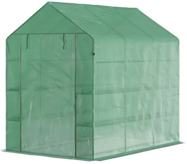 Small Walk-in Greenhouse with Shelves for Seed Starting and Plant Growth