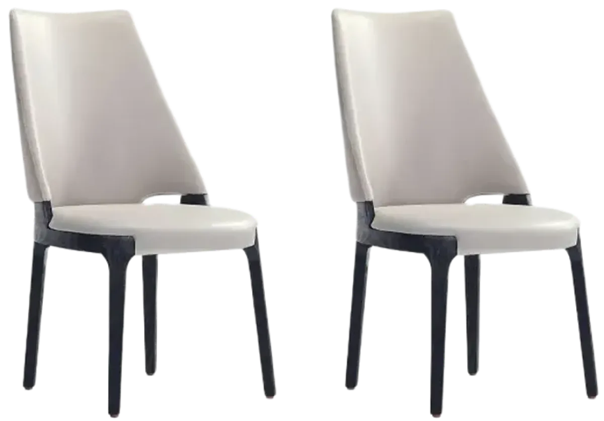 Kara Gray Dining Chairs (Set of 2)