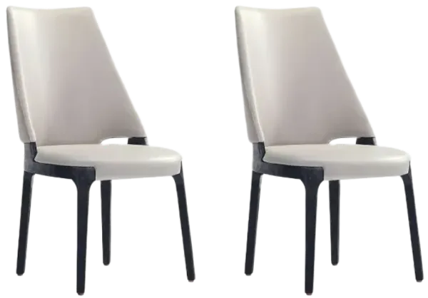 Kara Gray Dining Chairs (Set of 2)