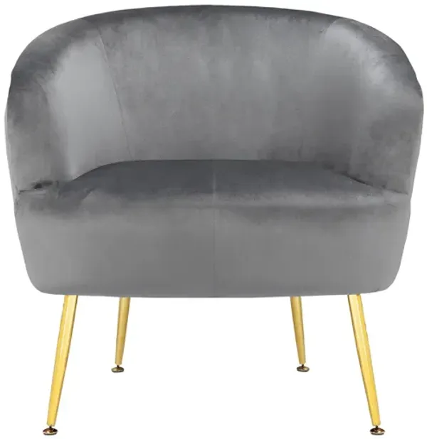 Kara Upholstered Accent Chair with Gold Legs