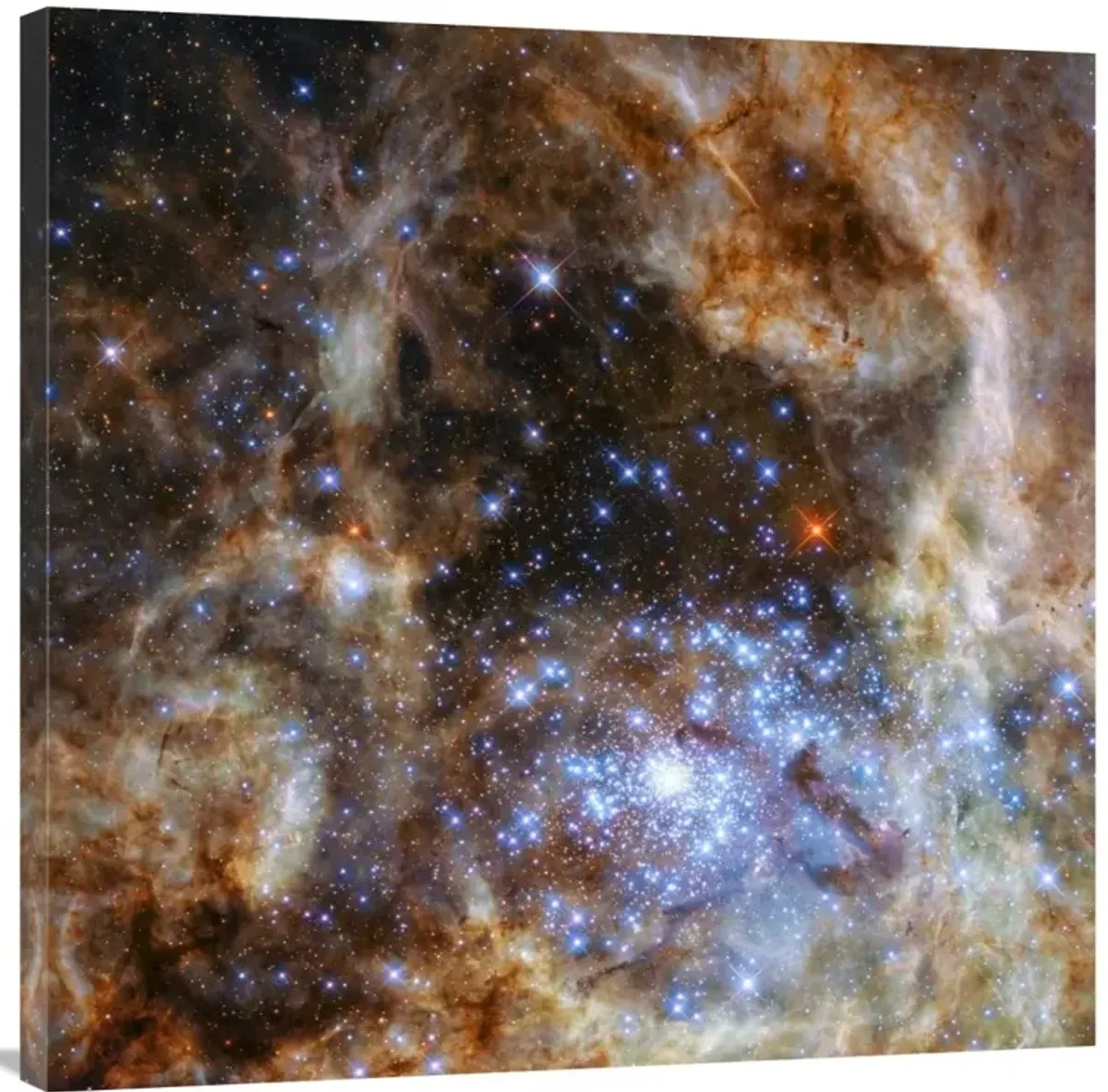Star Cluster R136-Canvas Art-36x36