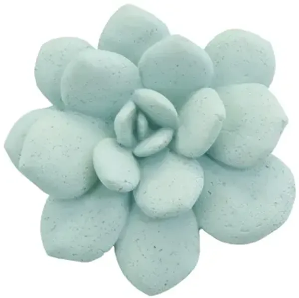 Laui Succulent Wall Art in Sage