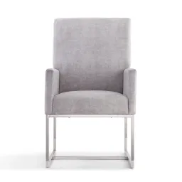 Light Gray color