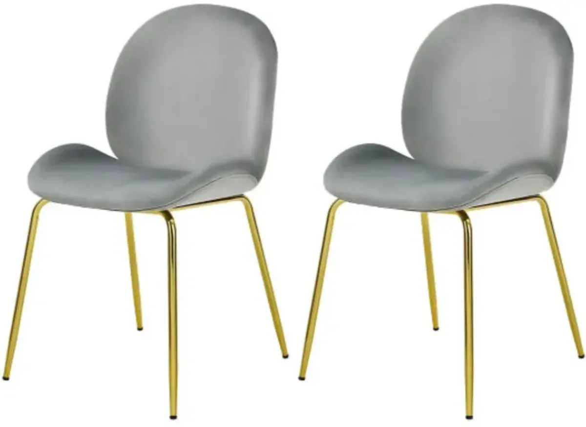 Set of 2 Velvet Accent Chairs with Gold Metal Legs