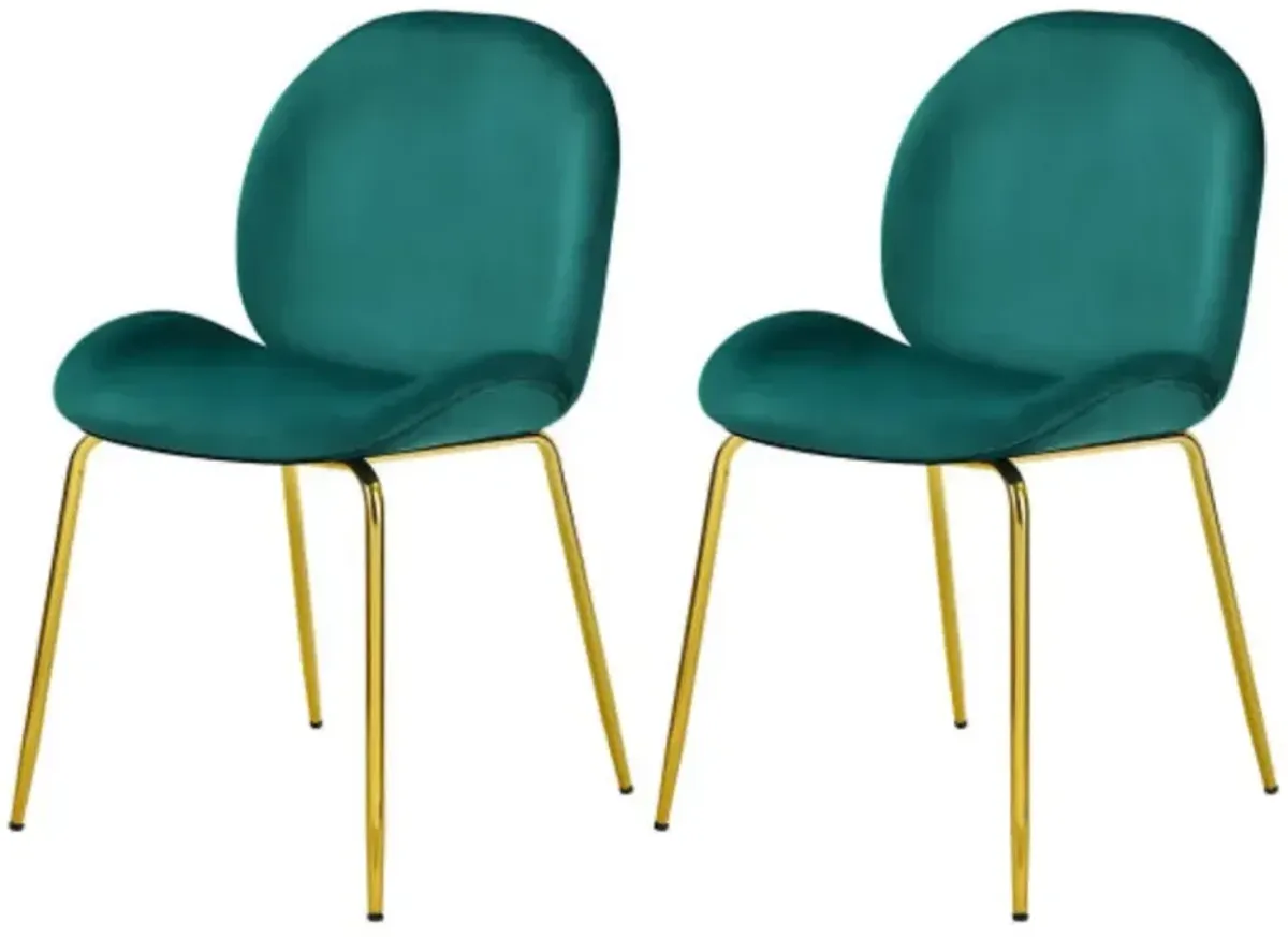 Set of 2 Velvet Accent Chairs with Gold Metal Legs