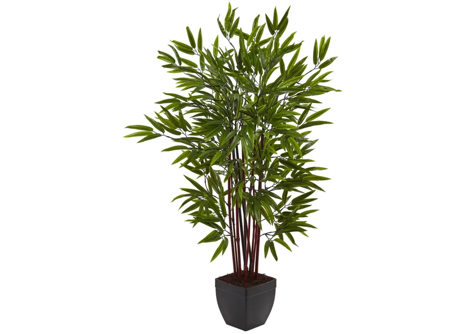 HomPlanti 4 Feet Bamboo Silk Tree w/Planter