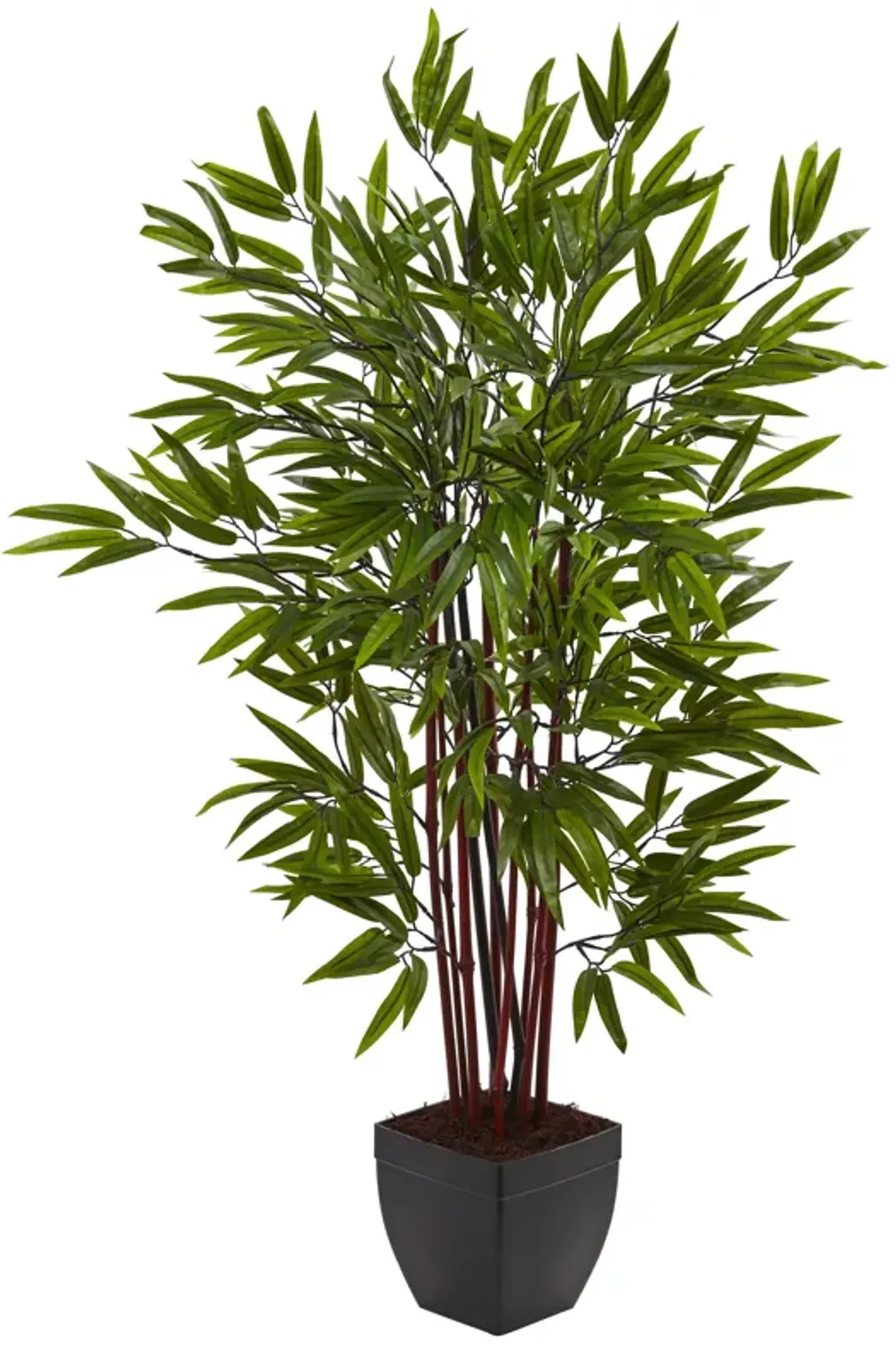 HomPlanti 4 Feet Bamboo Silk Tree w/Planter