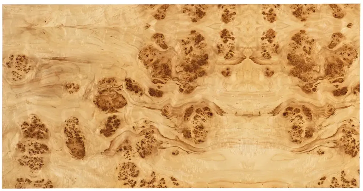 Auberon Burl Coffee Table