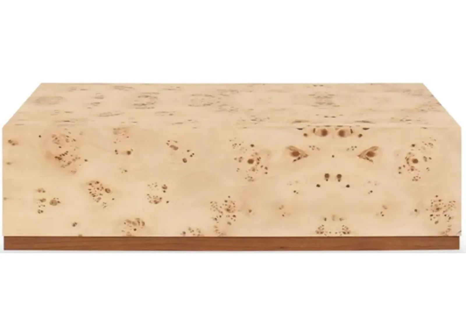 Auberon Burl Coffee Table