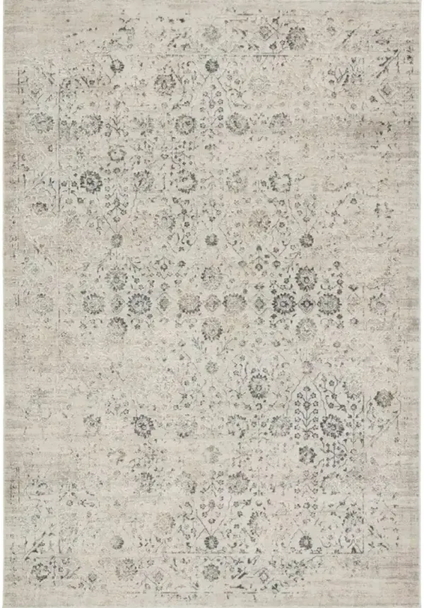 Cirque Jasiel Gray 8' x 10' Rug