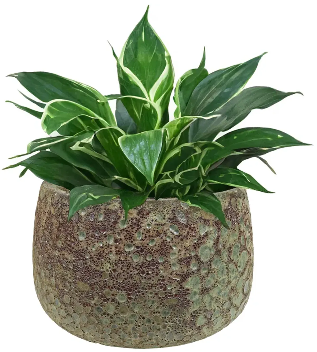 Sunnydaze 14" Lava Finish Planter - Green Distressed Ceramic - 2-Pack