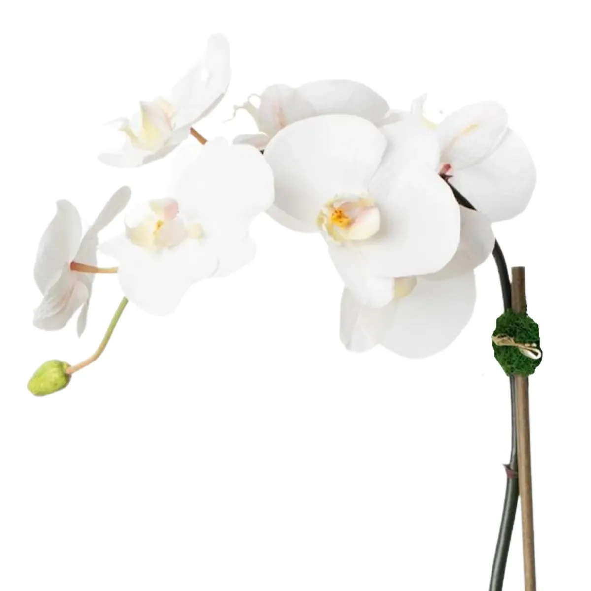 Faux Potted Orchid Plant - White Orchid- 21"