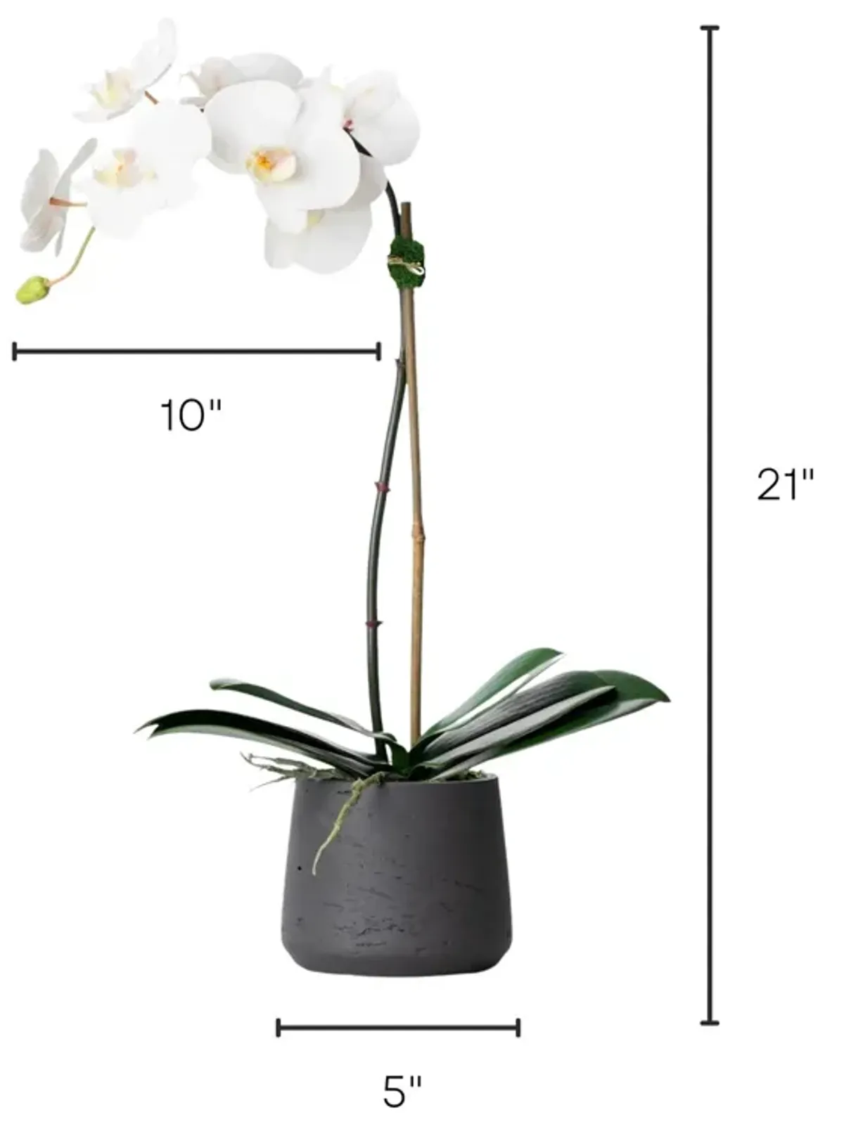 Faux Potted Orchid Plant - White Orchid- 21"