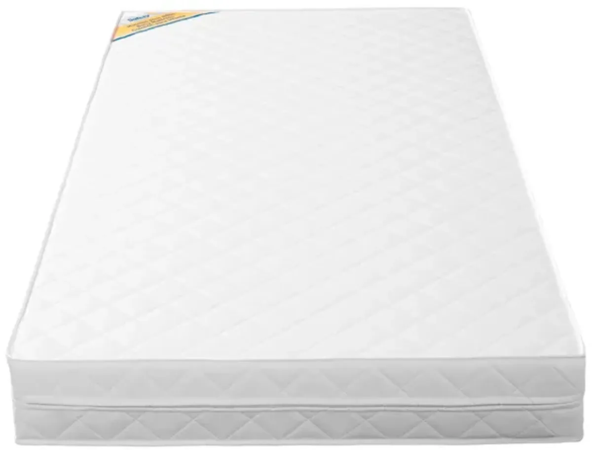 Transitions Crib and Toddler Bed Mattress