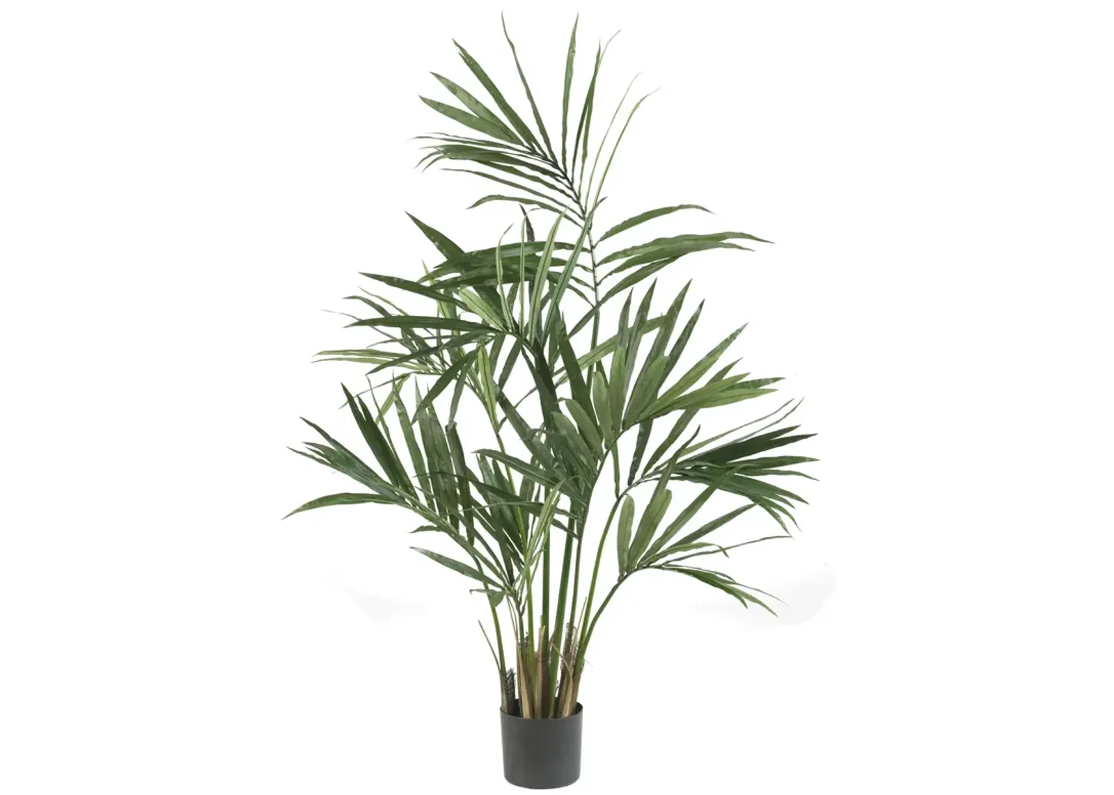 HomPlanti 5 Feet Kentia Palm Silk Tree