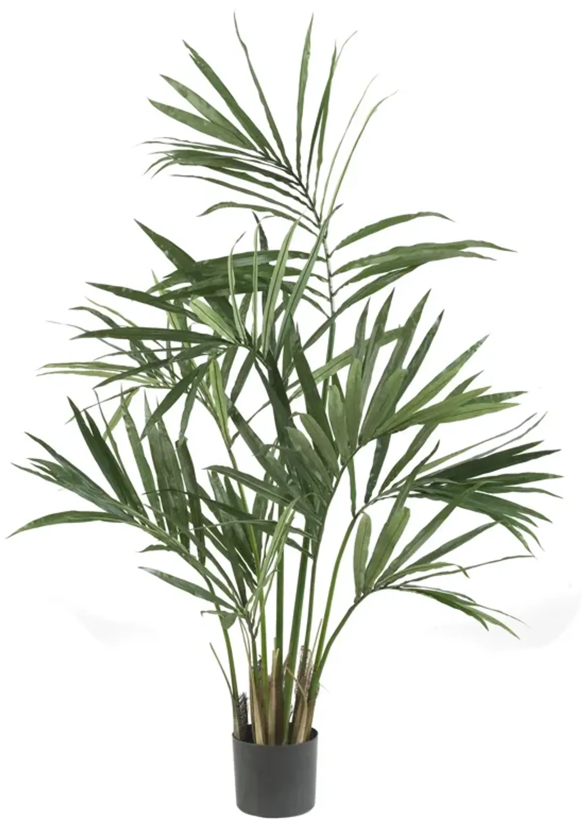 HomPlanti 5 Feet Kentia Palm Silk Tree