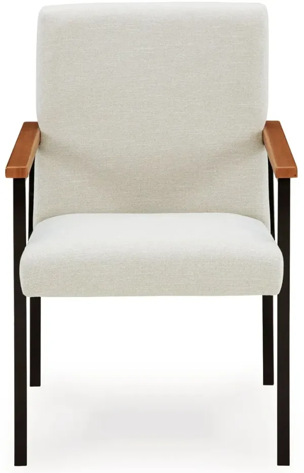 Dressonni Dining Arm Chair