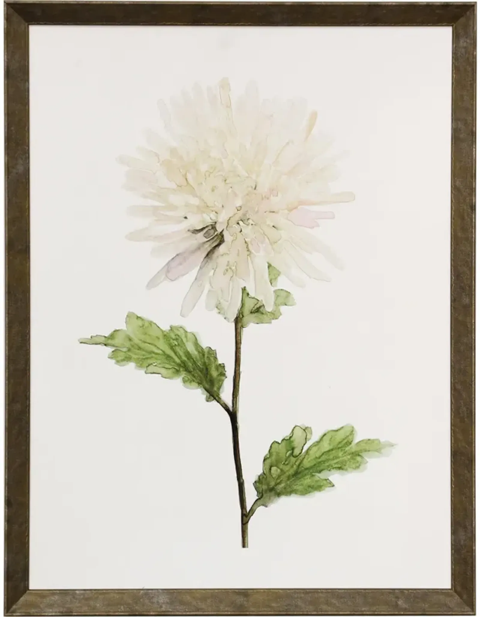 White Blossom IV Framed Print