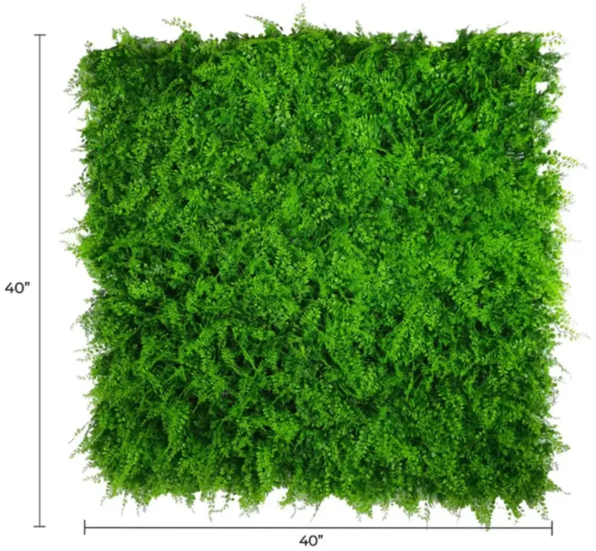 Lush Fern Artificial Green Wall 40" x 40" 11SQ FT Commercial Grade UV Resistant