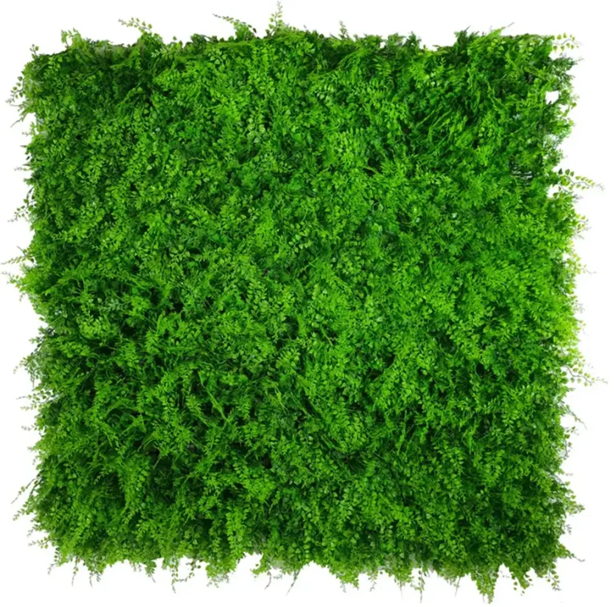 Lush Fern Artificial Green Wall 40" x 40" 11SQ FT Commercial Grade UV Resistant