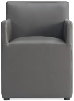 Gray color