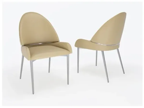 Set of 2 Taupe Color PU Leather Dining Chair with Matte Gold Fram