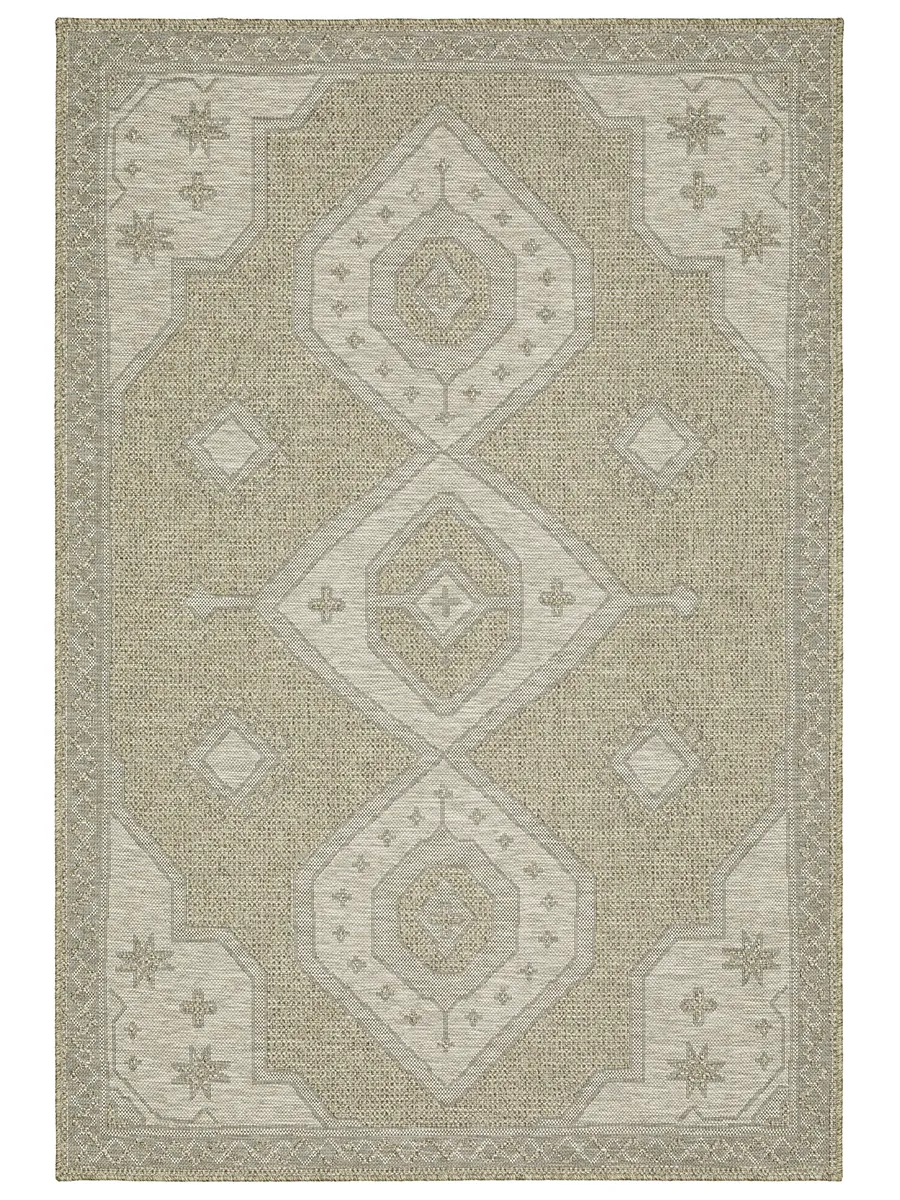 Tortuga 3'3" x 5' Beige Rug