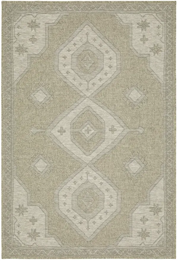 Tortuga 3'3" x 5' Beige Rug