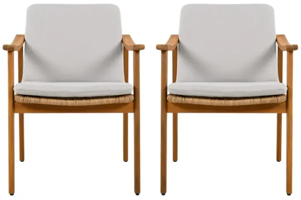 Merax Outdoor Dining Chairs Set of 2