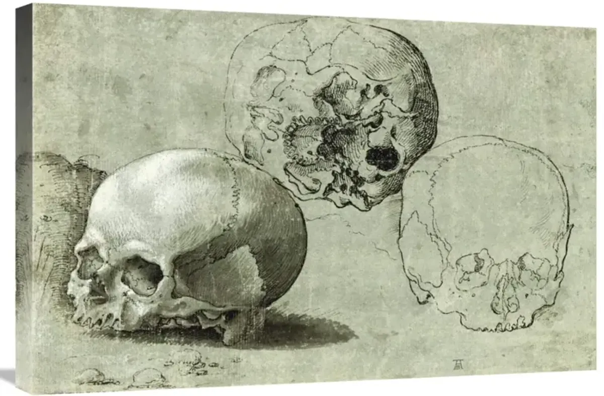 Study of Three Skulls-Canvas Art-30x20