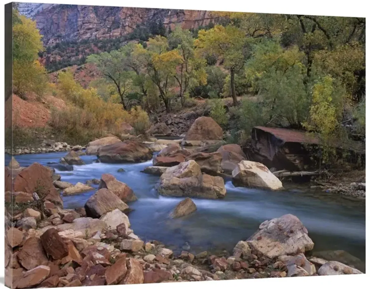 Virgin River flowing through canyon in autumn, Zion National Park, Utah-Canvas Art-40x30