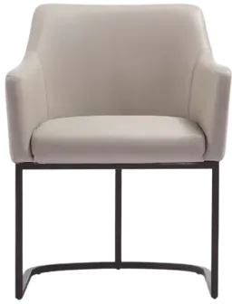 Light Gray color