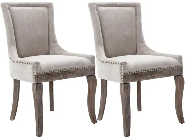 Set of 2 Upholstered Side Dining Chairs, Thick Fabric, Solid Wood Legs, Nailhead Trim