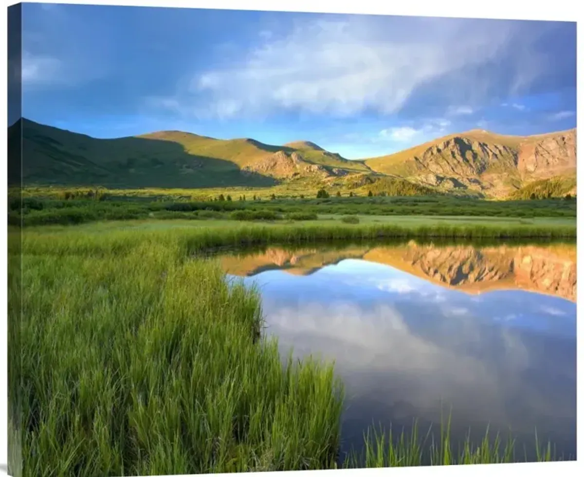 Mount Bierstadt from Guanella Pass reflected in pond, Colorado-Canvas Art-30x24.9