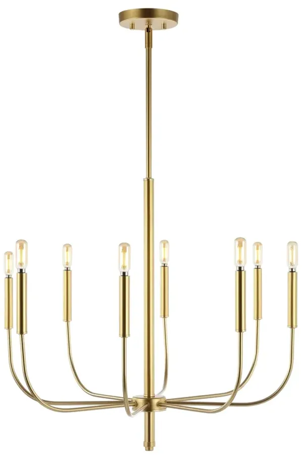 Amoros Modern Mid Century Iron LED Chandelier