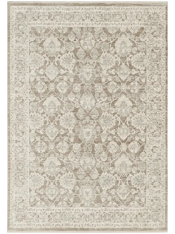 Shadows SHW03 Ivory/Mocha 3'11" x 5'11" Rug
