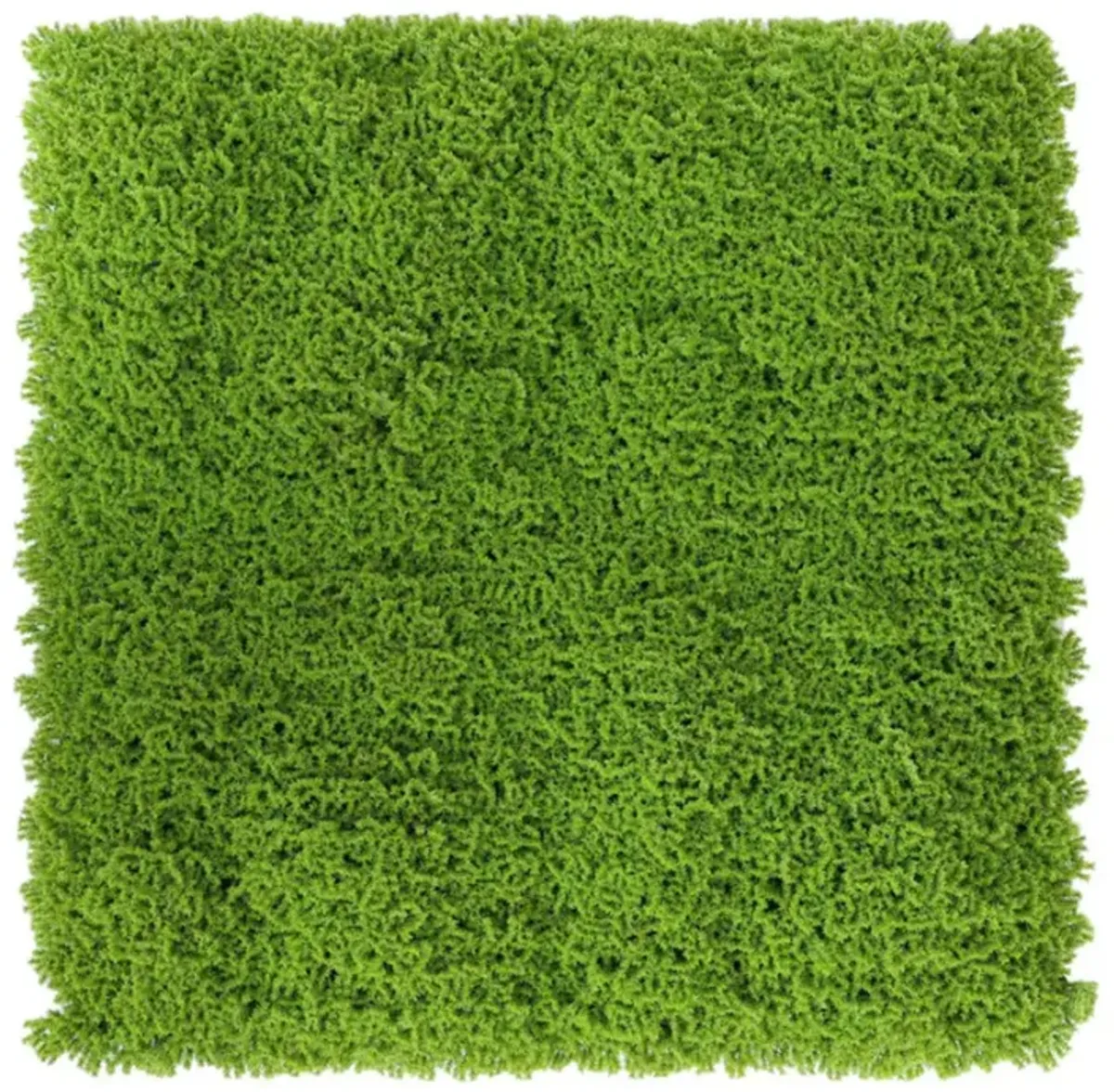 Faux Evergreen Moss Mat 40" x 20" 5.5 SQFT UV Resistant Commercial Grade UV Resistant