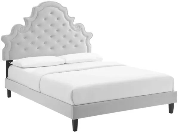 Modway - Gwyneth Tufted Performance Velvet King Platform Bed