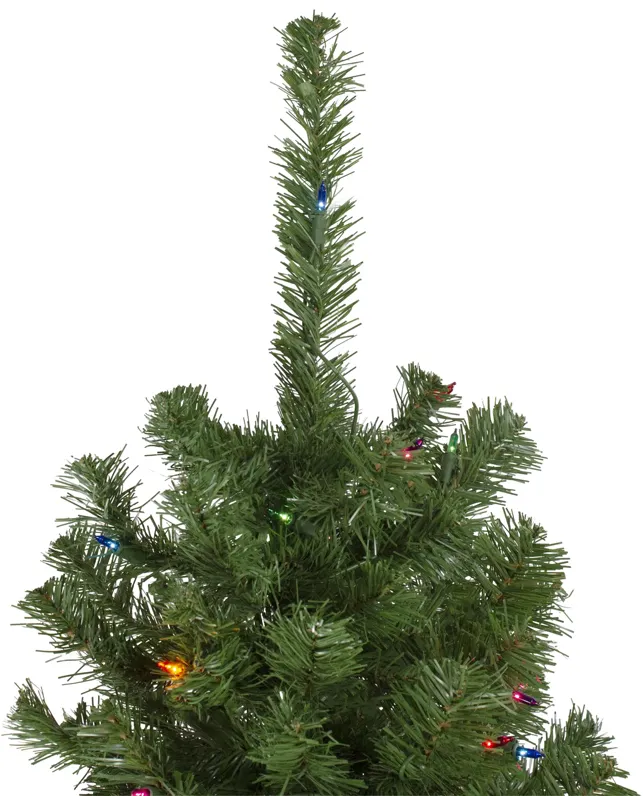 6' Pre-Lit Alberta Pine Slim Artificial Christmas Tree - Multi Lights