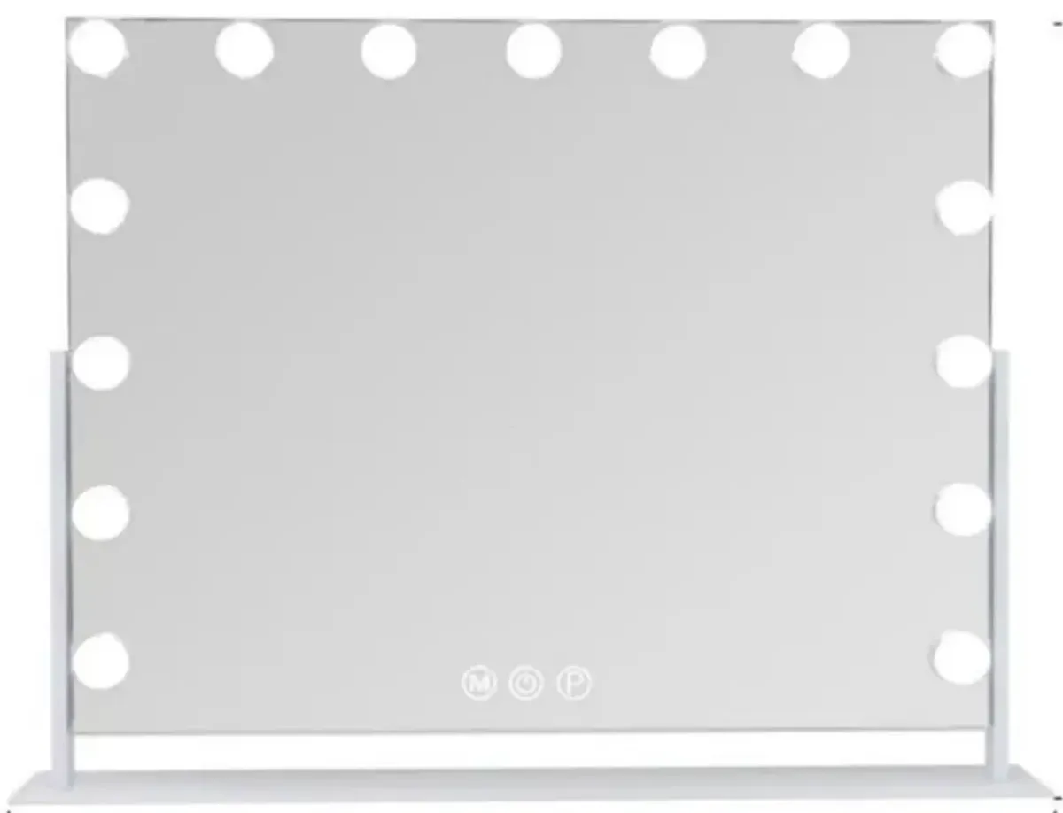 23''x19'' Vanity Mirror with Lights 15 Blubs 360°Rotation