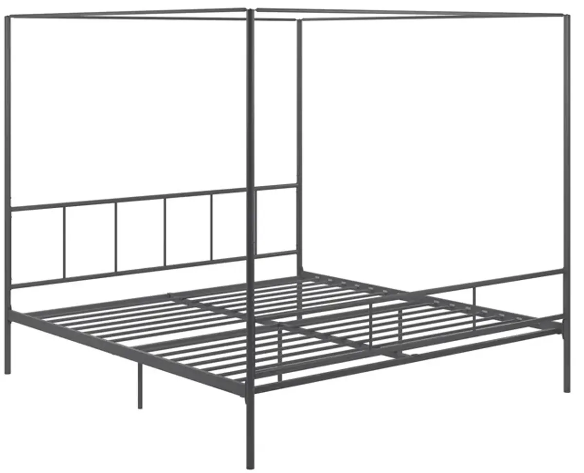 Novogratz Marion Canopy Bed