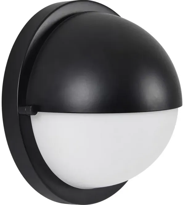 Renwil Raina 1-Light Wall Sconce