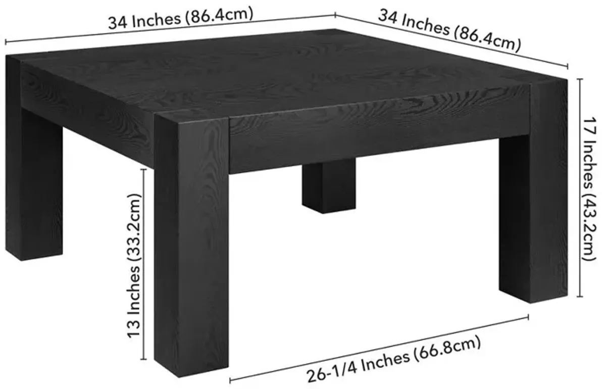 Hudson&Canal Langston 34 Wide Square Coffee Table in Black Grain