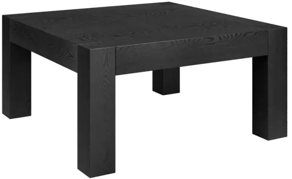 Hudson&Canal Langston 34 Wide Square Coffee Table in Black Grain