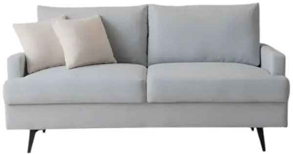 Upholstered Loveseat Cozy and Stylish Small Sofa for Living Room or Apartment