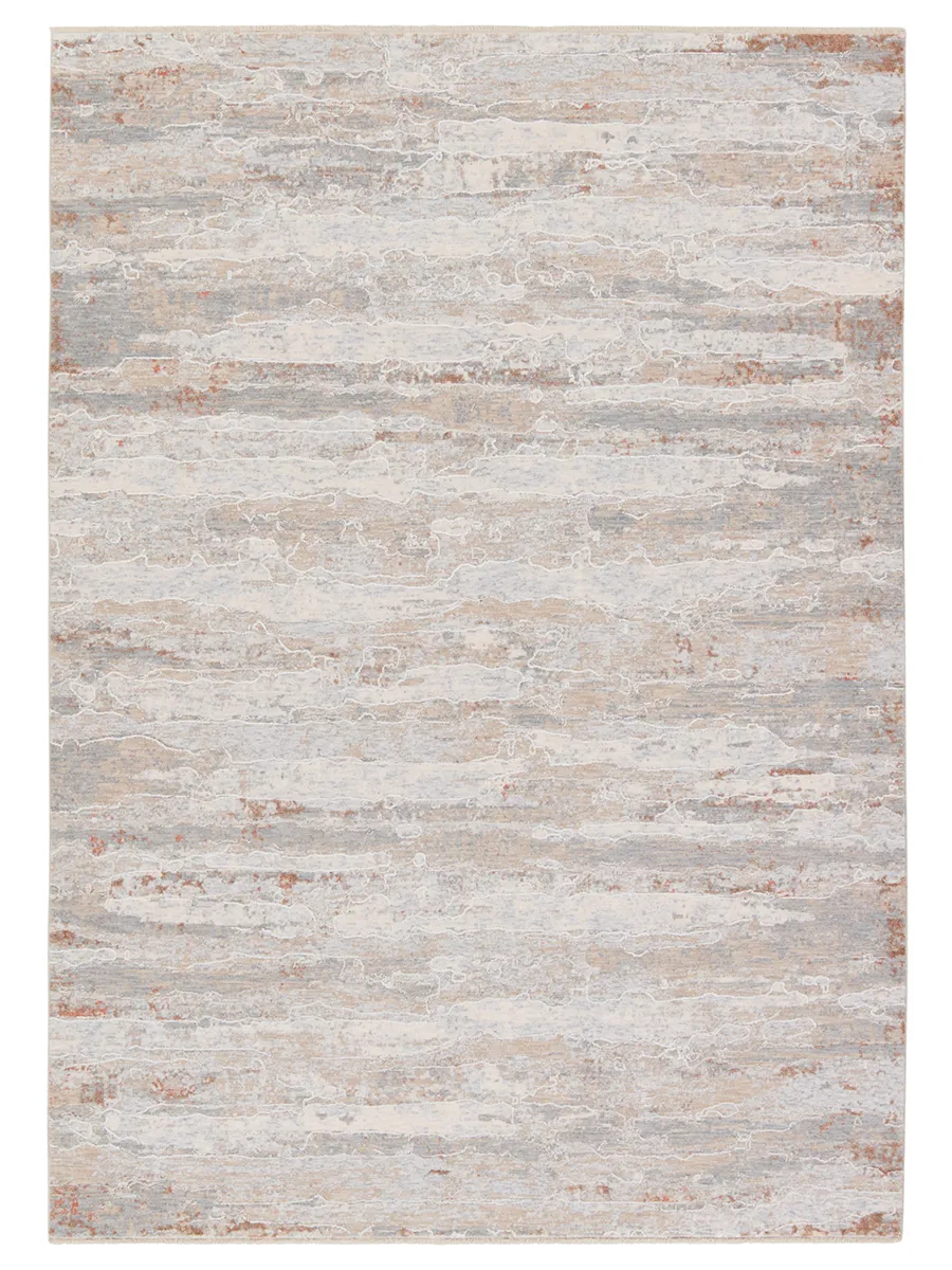 Aries Taroko Tan/Taupe 5' x 8' Rug