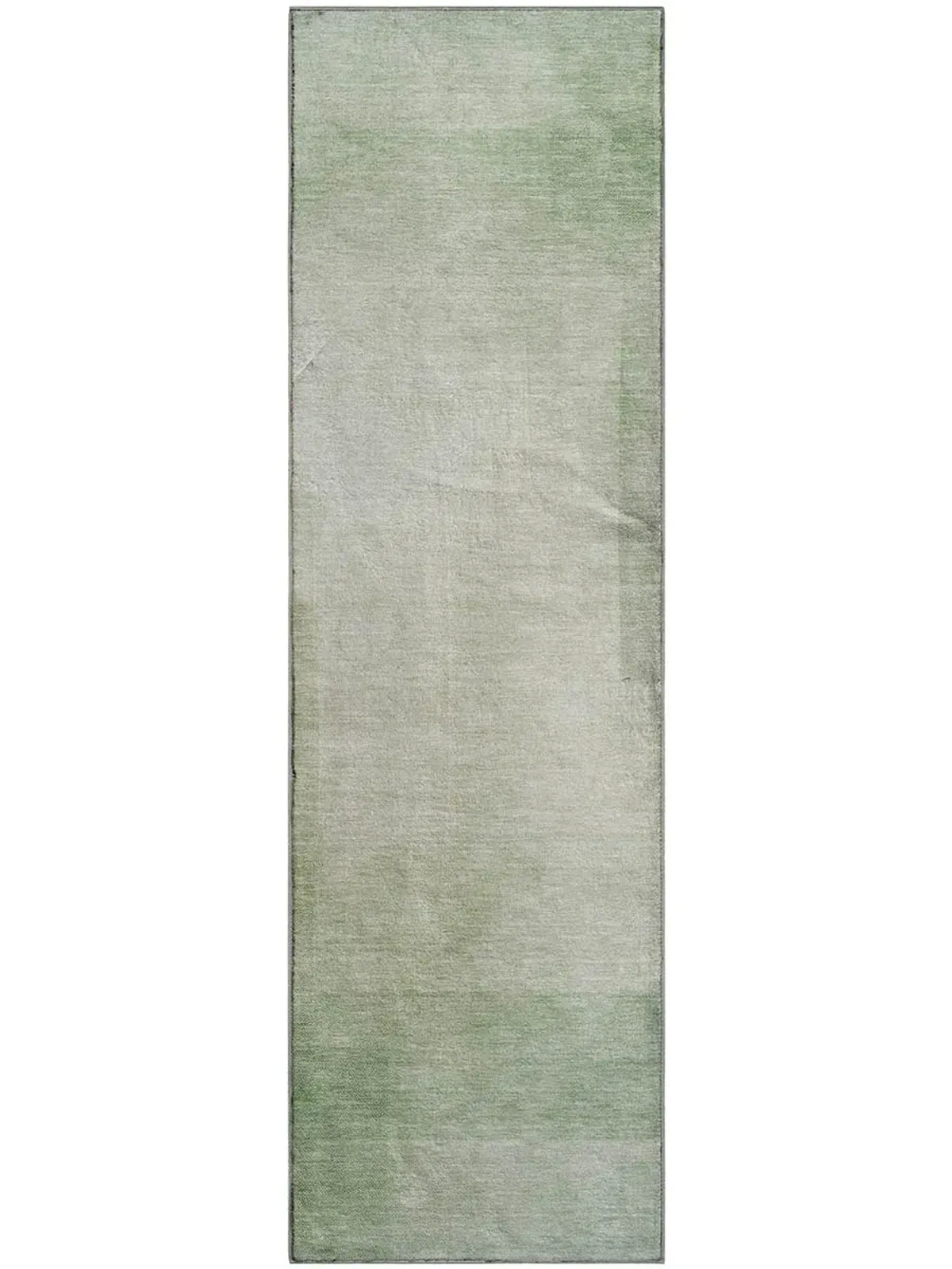 Pacifica PA5 Aloe 2'3" x 7'6" Rug