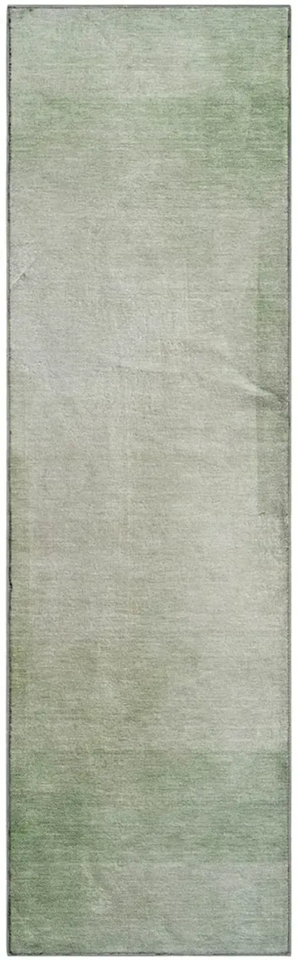 Pacifica PA5 Aloe 2'3" x 7'6" Rug