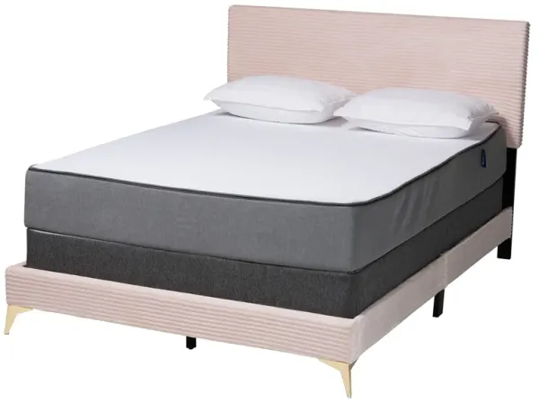 Baxton Studio Abberton Modern Black Velvet Gold Metal Queen Size Panel Bed